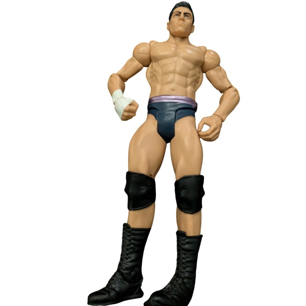 Mattel WWE Wrestling Action Figure Unisex 7" Blue Purple Justin Gabriel Good